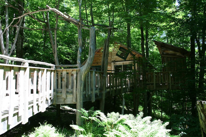 Wheel Chair Accessible Tree House at Zeno in Lincoln