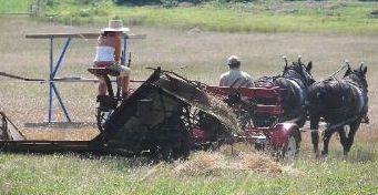 The Team at Good Companion and Boundbrook Farm