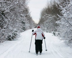 Cross Country Skiing near Fox Creek Inn