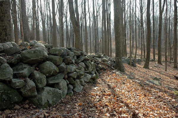 Vermont-stone-wall