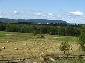Equestrian Property for Sale in New Haven VT