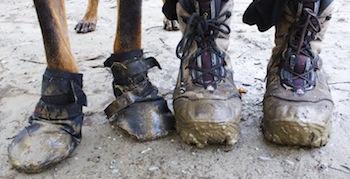 Muddy-Boots-best-friend